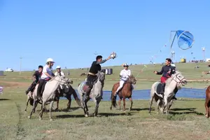 Морин бөмбөгийн төрлийг танилцуулж байна